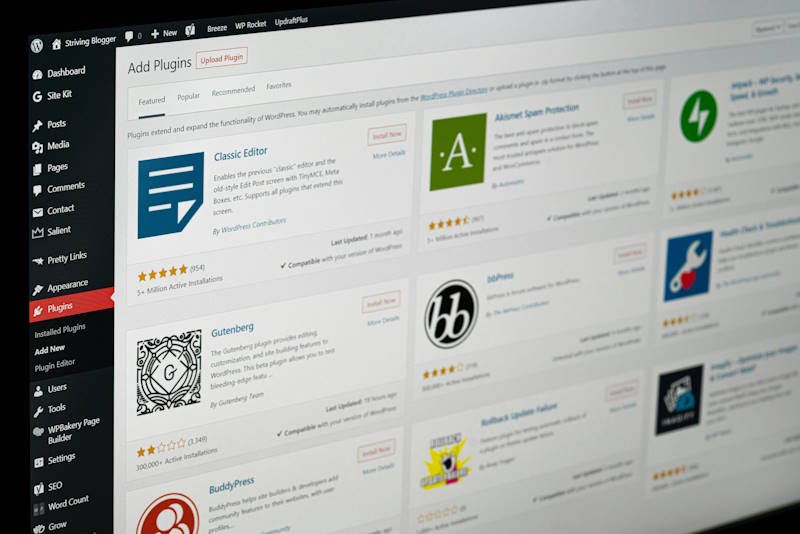 SEO para WordPress